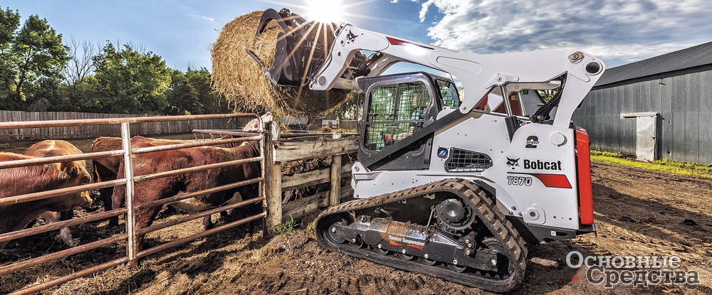 Bobcat