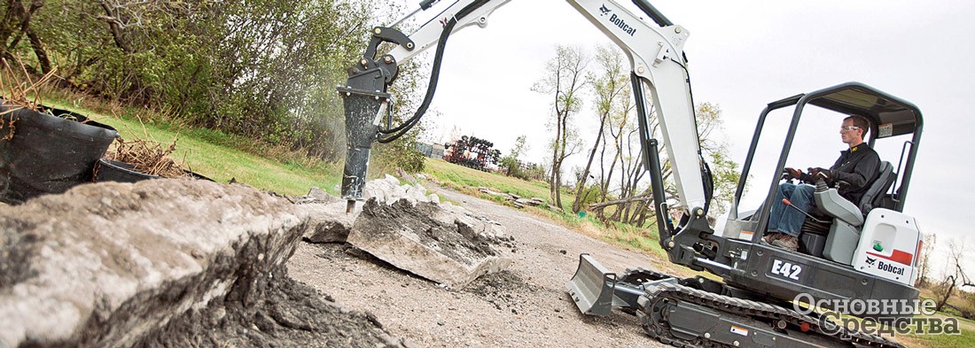 Bobcat