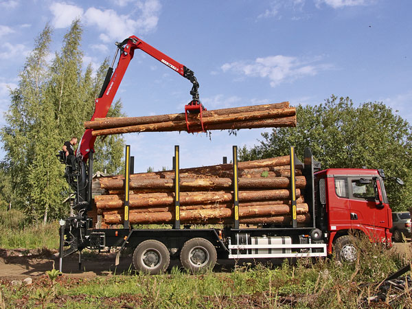 Современный «хворосту воз»