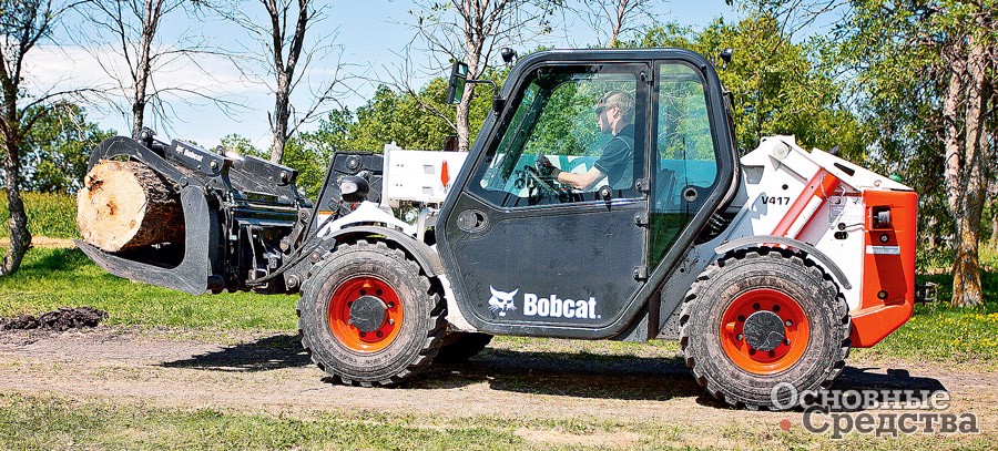 Bobcat