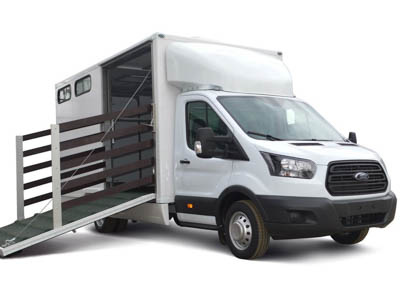 Коневозка: уникальная специальная версия Ford Transit