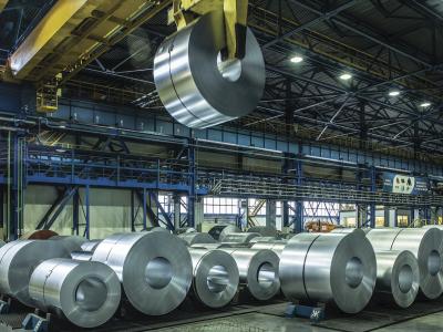 «Северсталь» и ПТК «Дельта» вышли на рынок шпалер для винограда